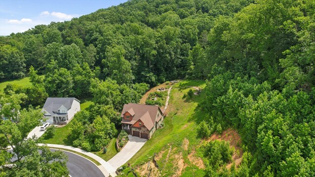 9795 Trestle Cir, Ooltewah, TN 37363 - bird's eye view of a forest