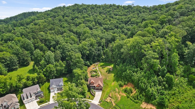 9795 Trestle Cir, Ooltewah, TN 37363 - aerial view of residential area featuring a forest