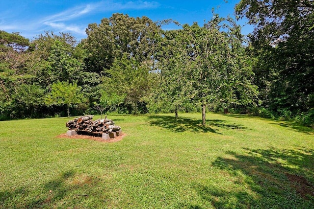 1015 Long Island Rd, New Hope, TN 37380 - photo 34
