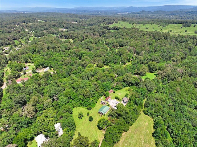 1015 Long Island Rd, New Hope, TN 37380 - photo 39