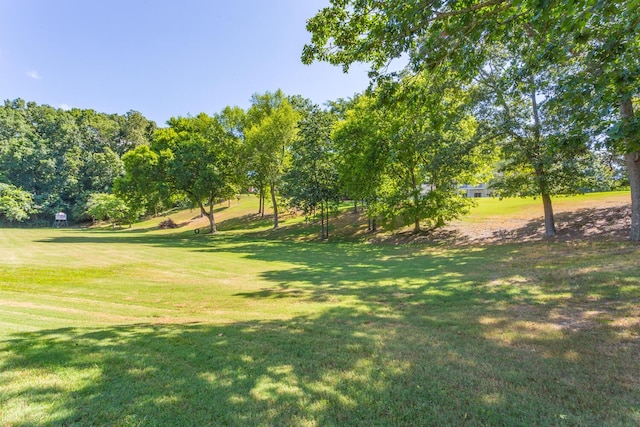 1400 Poplar Springs Rd, Ringgold, GA 30736 - photo 61
