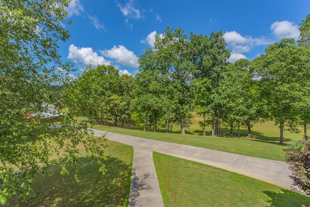 1400 Poplar Springs Rd, Ringgold, GA 30736 - photo 62