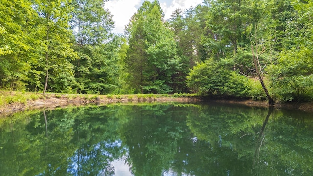 122 Whitney Dr NW, Mcdonald, TN 37353 - photo 13