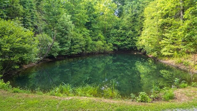 122 Whitney Dr NW, Mcdonald, TN 37353 - photo 14