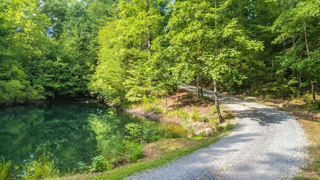 122 Whitney Dr NW, Mcdonald, TN 37353 - photo 60