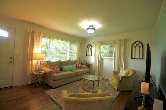 268 Lawrence Dr, Rossville, GA 30741 - living room featuring wood finished floors and crown molding