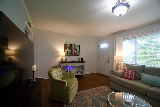 268 Lawrence Dr, Rossville, GA 30741 - living room featuring crown molding and wood finished floors
