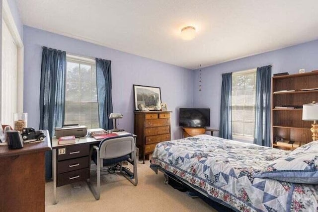 346 Thomas Rd, Benton, TN 37307 - bedroom with multiple windows, light colored carpet, and a desk