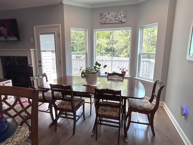 7901 Hamilton Mill Dr, Chattanooga, TN 37421 - dining space featuring plenty of natural light, wood finished floors, a premium fireplace, and crown molding