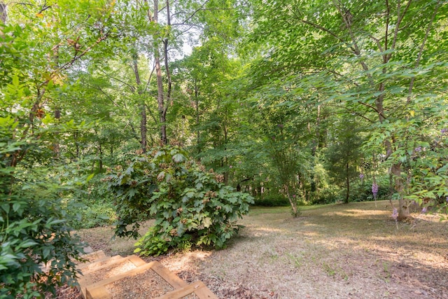 4205 Seneca Ave, Chattanooga, TN 37409 - view of yard featuring a forest view
