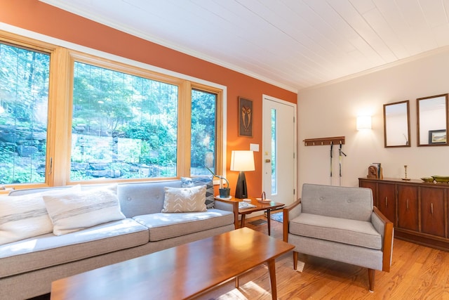 4205 Seneca Ave, Chattanooga, TN 37409 - living room featuring crown molding, plenty of natural light, and light wood-type flooring