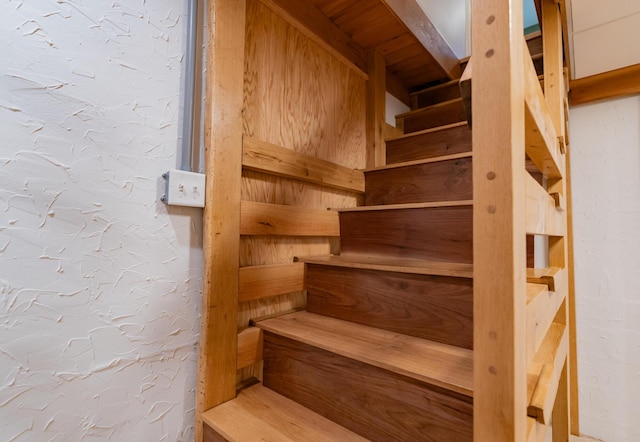 4205 Seneca Ave, Chattanooga, TN 37409 - staircase featuring a relaxing sauna