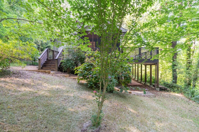 4205 Seneca Ave, Chattanooga, TN 37409 - view of yard featuring a deck and stairs