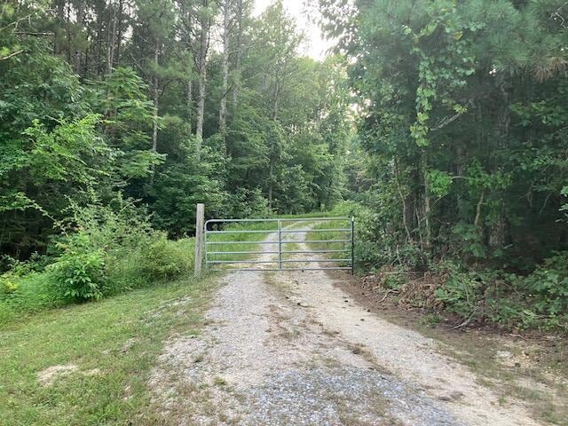 287 E Teems Rd, Ringgold, GA 30736 - view of dirt / gravel road featuring a gate and a view of trees