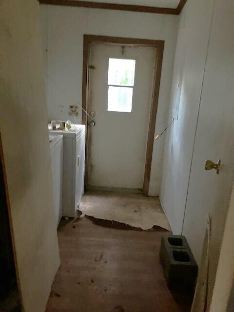 287 E Teems Rd, Ringgold, GA 30736 - laundry area featuring washer and clothes dryer, light wood-style floors, and crown molding