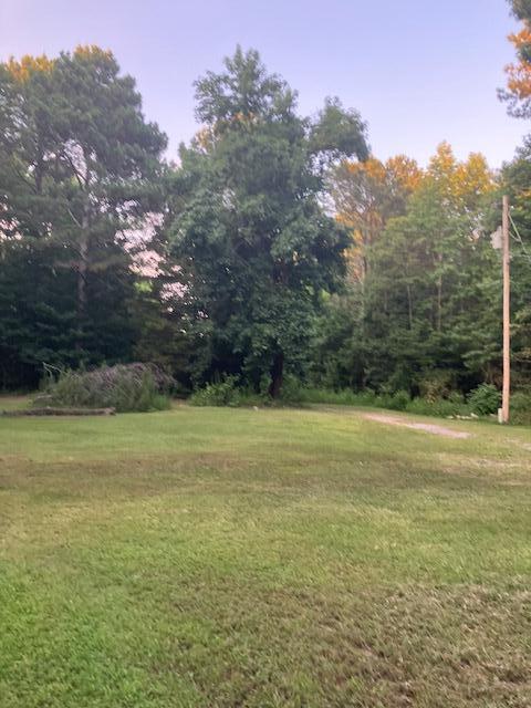 287 E Teems Rd, Ringgold, GA 30736 - view of green lawn