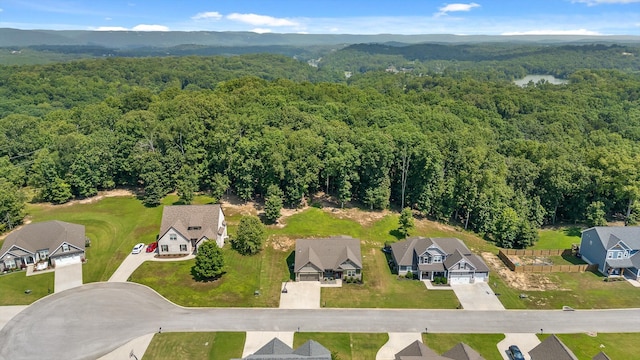 11036 High River Dr, Soddy Daisy, TN 37379 - photo 43