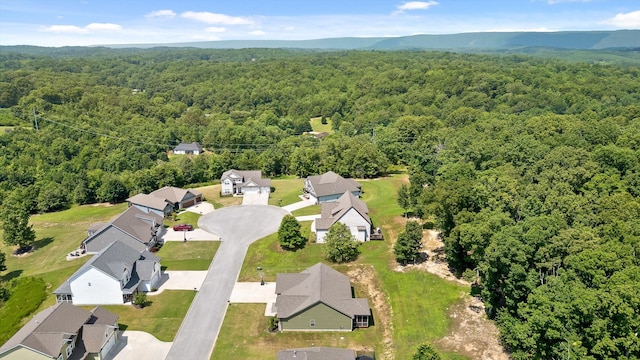 11036 High River Dr, Soddy Daisy, TN 37379 - photo 49