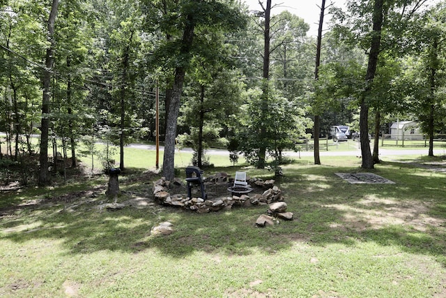 216 Roe Dr, Dunlap, TN 37327 - photo 28