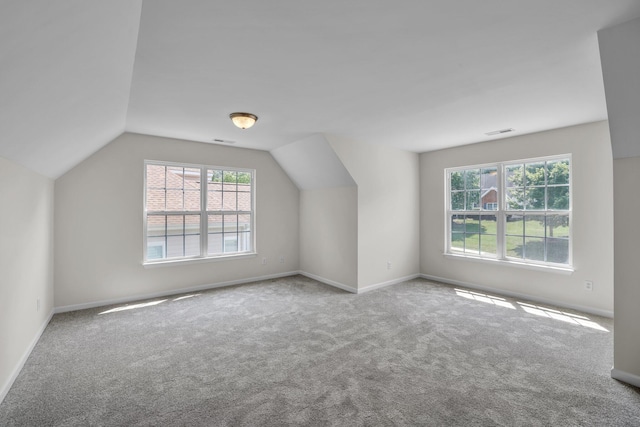 5586 Crooked Creek Dr, Ooltewah, TN 37363 - additional living space with carpet and vaulted ceiling