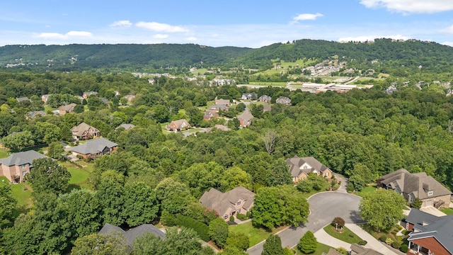 9539 Shadow Crossing Ln, Chattanooga, TN 37421 - aerial view of residential area featuring a forest