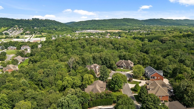 9539 Shadow Crossing Ln, Chattanooga, TN 37421 - aerial view of residential area featuring a mountain backdrop