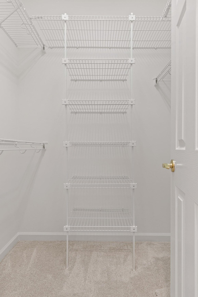 9539 Shadow Crossing Ln, Chattanooga, TN 37421 - spacious closet with carpet floors