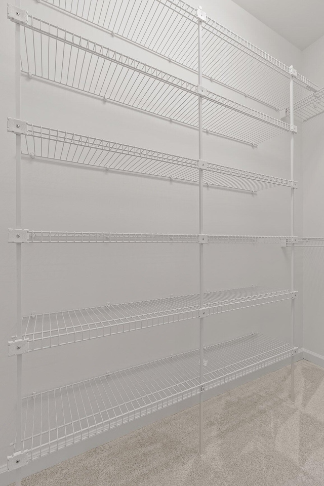 9539 Shadow Crossing Ln, Chattanooga, TN 37421 - view of storage area