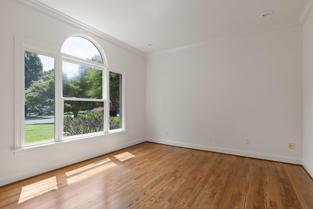 9539 Shadow Crossing Ln, Chattanooga, TN 37421 - spare room with crown molding and wood finished floors