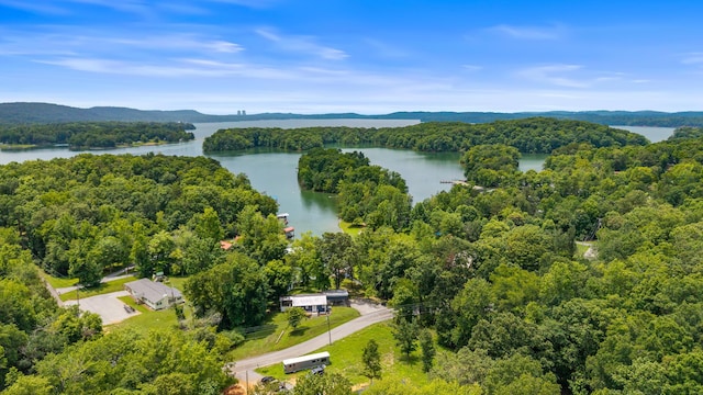 1099 Red Cloud Rd, Ten Mile, TN 37880 - photo 42