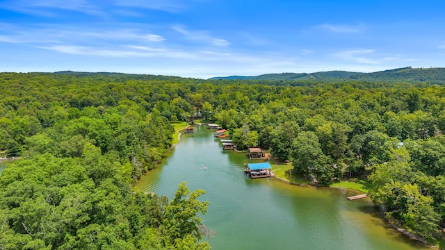 1099 Red Cloud Rd, Ten Mile, TN 37880 - photo 43