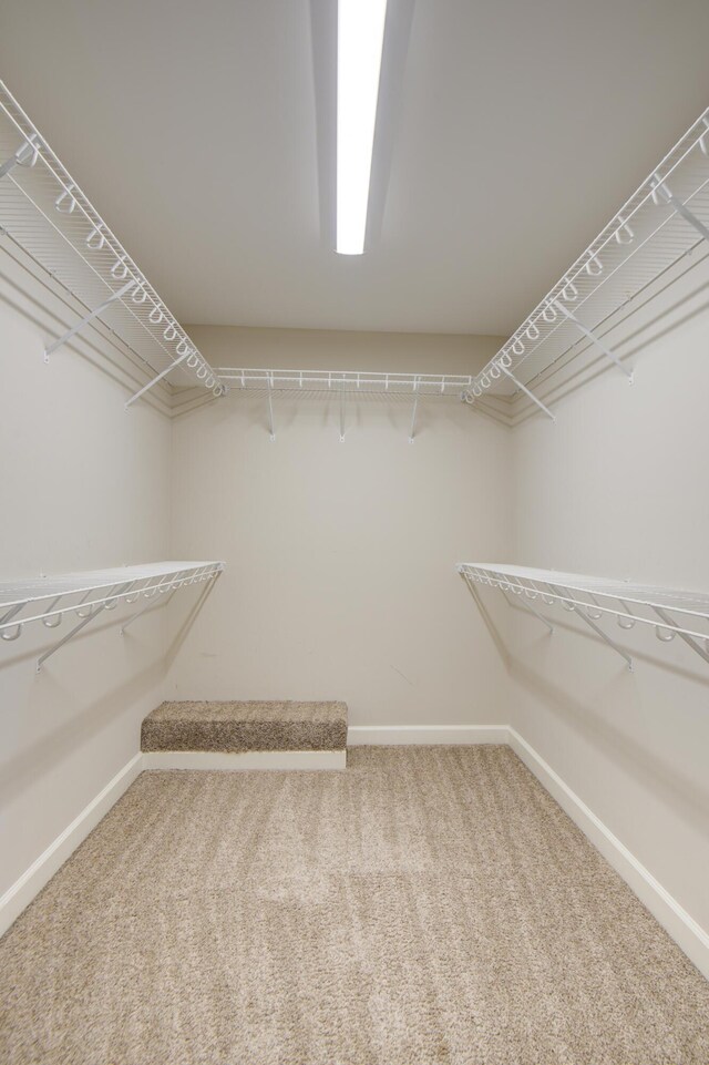 6253 River Stream Dr, Harrison, TN 37341 - spacious closet featuring carpet floors