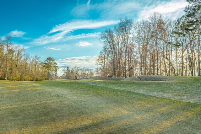 6253 River Stream Dr, Harrison, TN 37341 - view of grassy yard