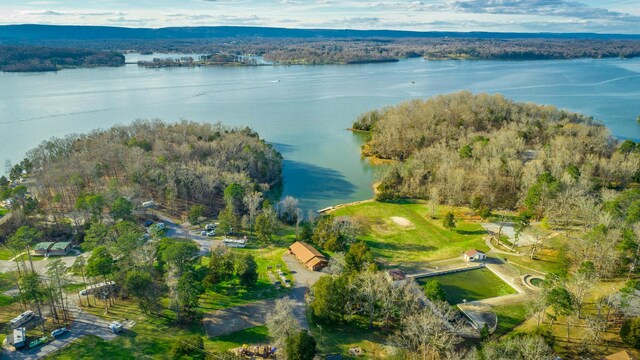 6253 River Stream Dr, Harrison, TN 37341 - aerial view of property's location featuring a large body of water and a heavily wooded area