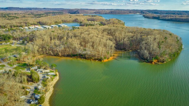 6253 River Stream Dr, Harrison, TN 37341 - aerial view of property and surrounding area with a nearby body of water