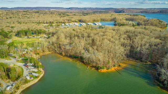 6253 River Stream Dr, Harrison, TN 37341 - view of property location with a forest and a nearby body of water