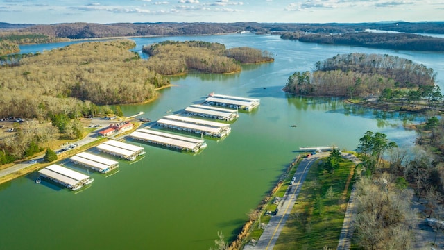 6253 River Stream Dr, Harrison, TN 37341 - drone / aerial view of a large body of water and a forest