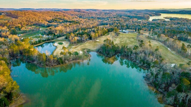6253 River Stream Dr, Harrison, TN 37341 - aerial view at dusk of a water view and a forest view