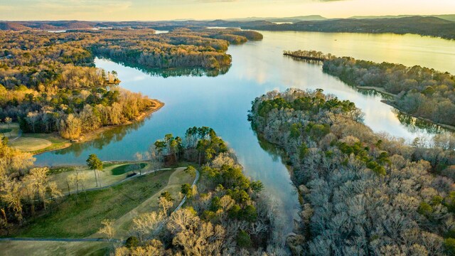 6253 River Stream Dr, Harrison, TN 37341 - aerial view at dusk of a water view and a wooded view