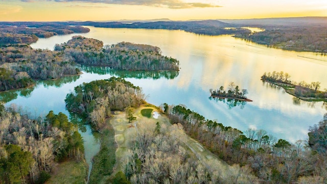 6253 River Stream Dr, Harrison, TN 37341 - aerial overview of property's location with a nearby body of water and a heavily wooded area