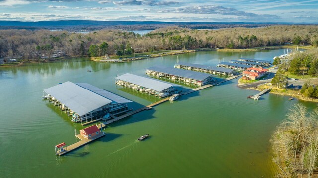 6253 River Stream Dr, Harrison, TN 37341 - drone / aerial view of a heavily wooded area and a nearby body of water