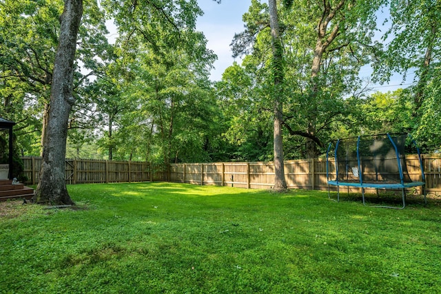 847 Kentucky Ave, Signal Mountain, TN 37377 - photo 14