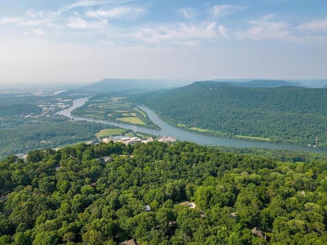 847 Kentucky Ave, Signal Mountain, TN 37377 - photo 45