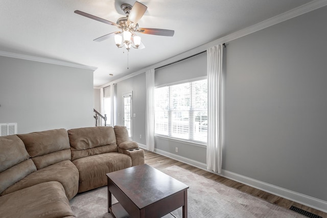 846 Altamont Rd, Chattanooga, TN 37415 - living room featuring crown molding, light wood-type flooring, and ceiling fan
