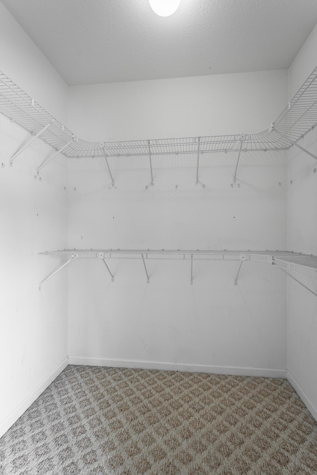 846 Altamont Rd, Chattanooga, TN 37415 - spacious closet featuring carpet floors