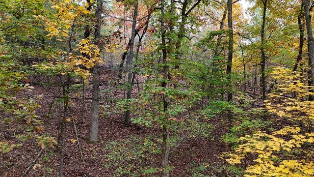 000 Lower River Rd NW, Georgetown, TN 37336