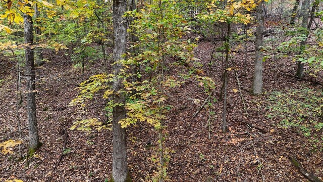 000 Lower River Rd NW, Georgetown, TN 37336