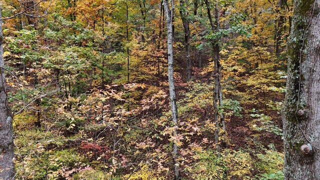 000 Lower River Rd NW, Georgetown, TN 37336