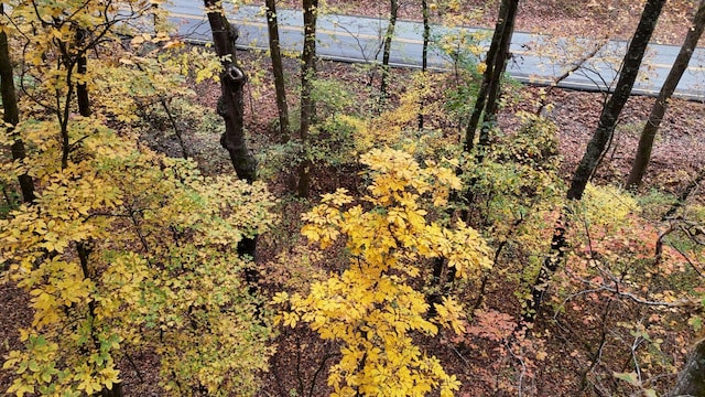 000 Lower River Rd NW, Georgetown, TN 37336