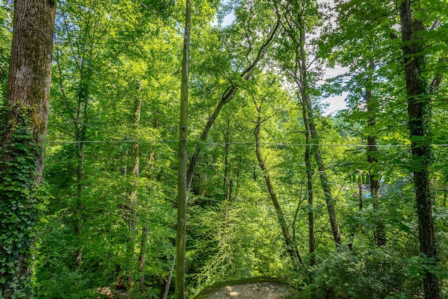 2 Mother Goose Vlg, Lookout Mountain, GA 30750 - view of woods